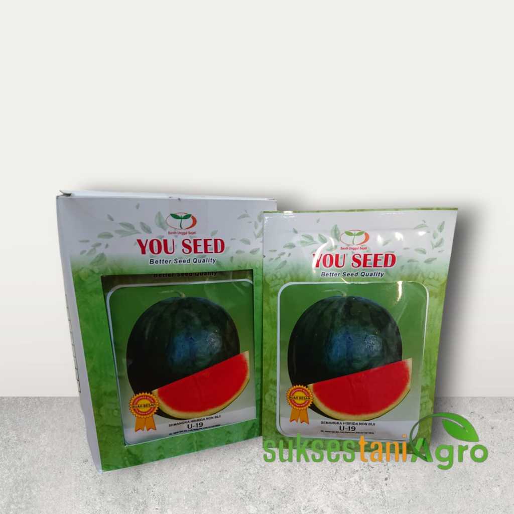 Benih Bibit Semangka Non Biji U-19 F1 20 gram - You seed