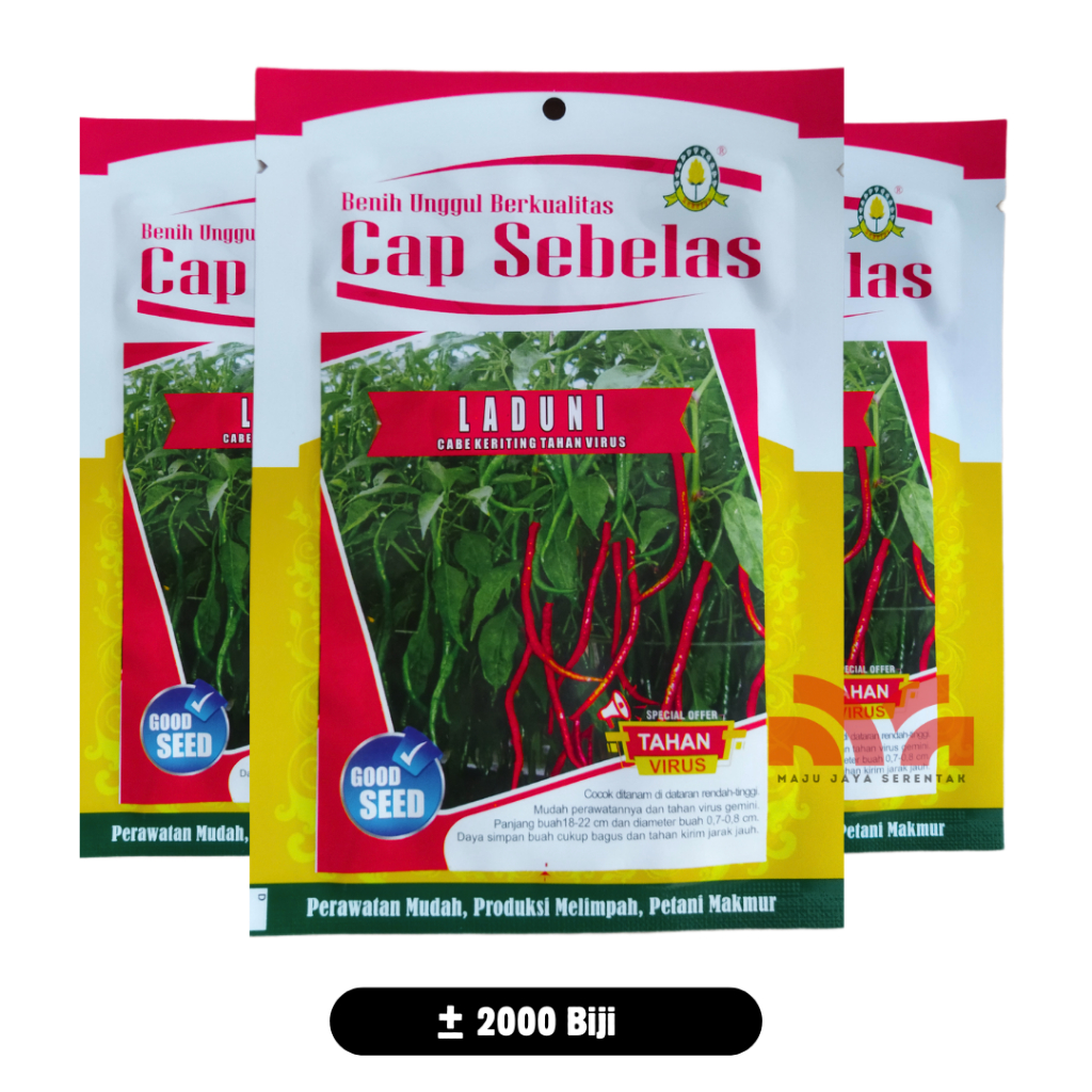 Cabe Keriting Laduni Tahan Virus Isi 2000 Biji