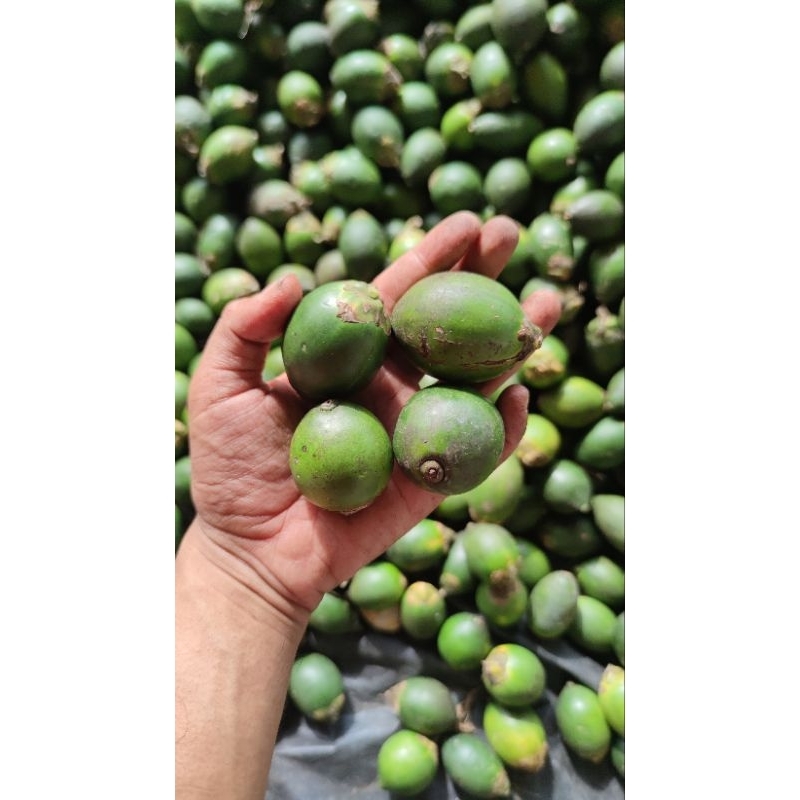 

pinang Kandis Bahan Baku Pinang Iris Koin