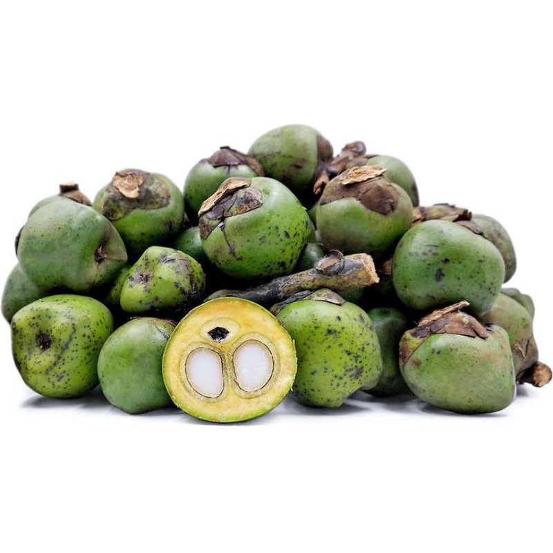 

KOLANG KALING MENTAH FRESH SUPER MURAH BERGARSNSI 10KG