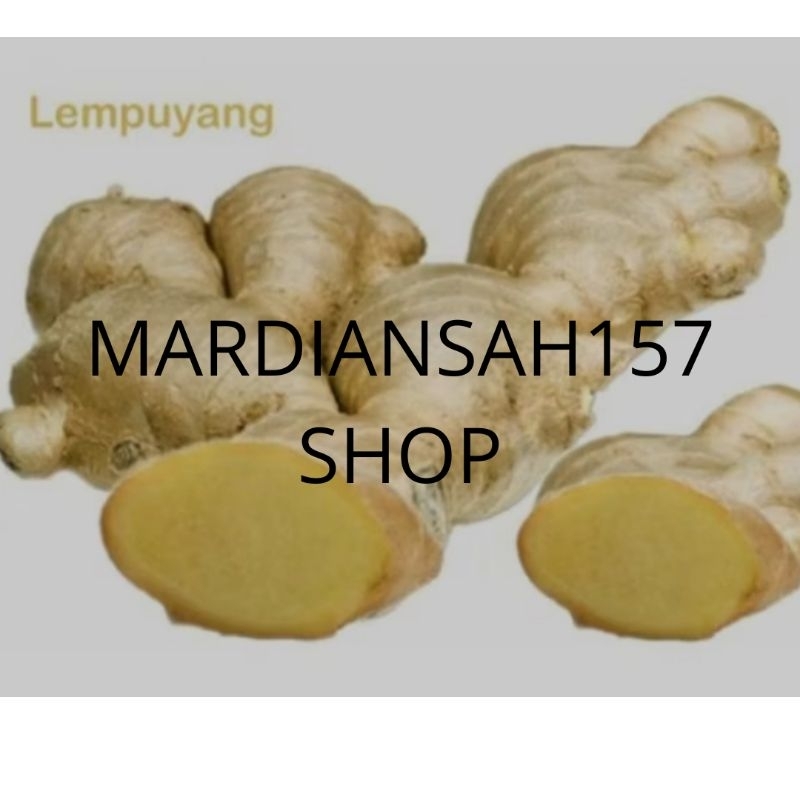 

Lempuyang segar bersih 1 kg