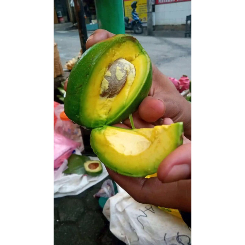 

alpukat mentega 1 kg
