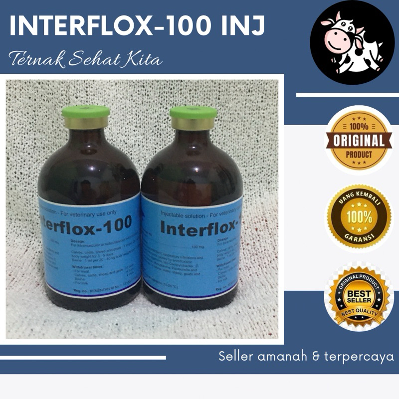 Interflox-100 antibiotik PMK untuk obat sapi PMK
