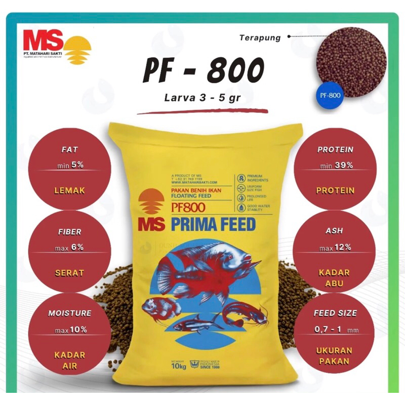 pf 800 10kg pakan benih ikan lele gurami patin