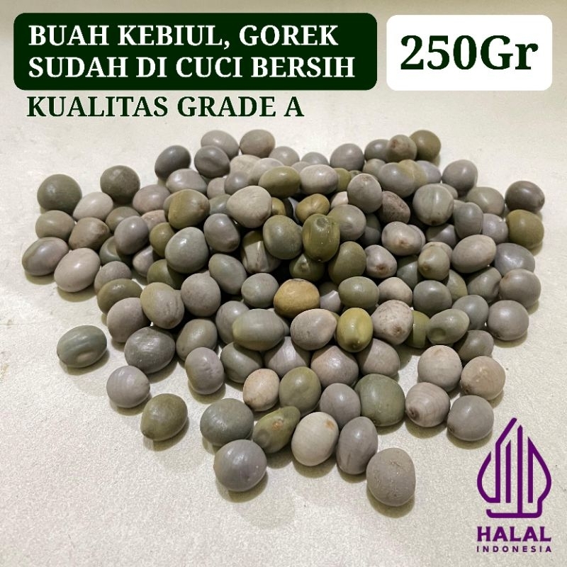 

Buah kebiul 250gr kualitas grade A Buah gorek Buah kalaloyang Obat kolesterol Obat ginjal Obat diabetes