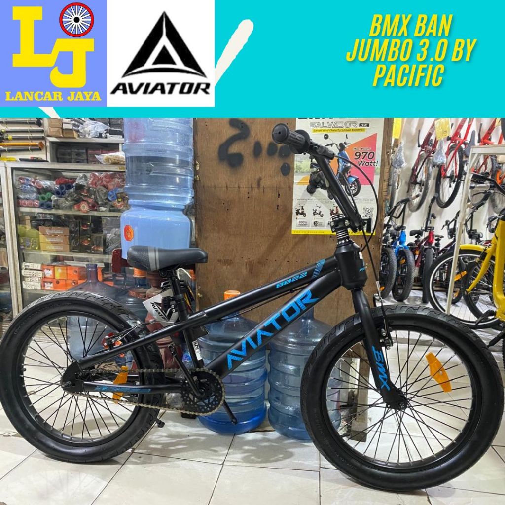 AVIATOR 20" Sepeda BMX Casual Anak Cowok Laki Ban 3.0 JUMBO Sekolah Hari hari 8822 STEEL