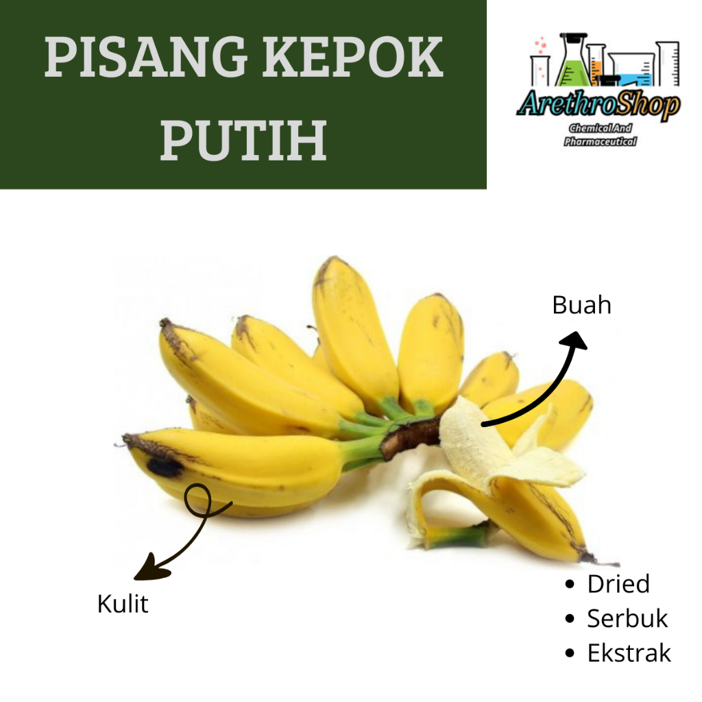 

EKSTRAK BUAH PISANG KEPOK BEST PRODUCT