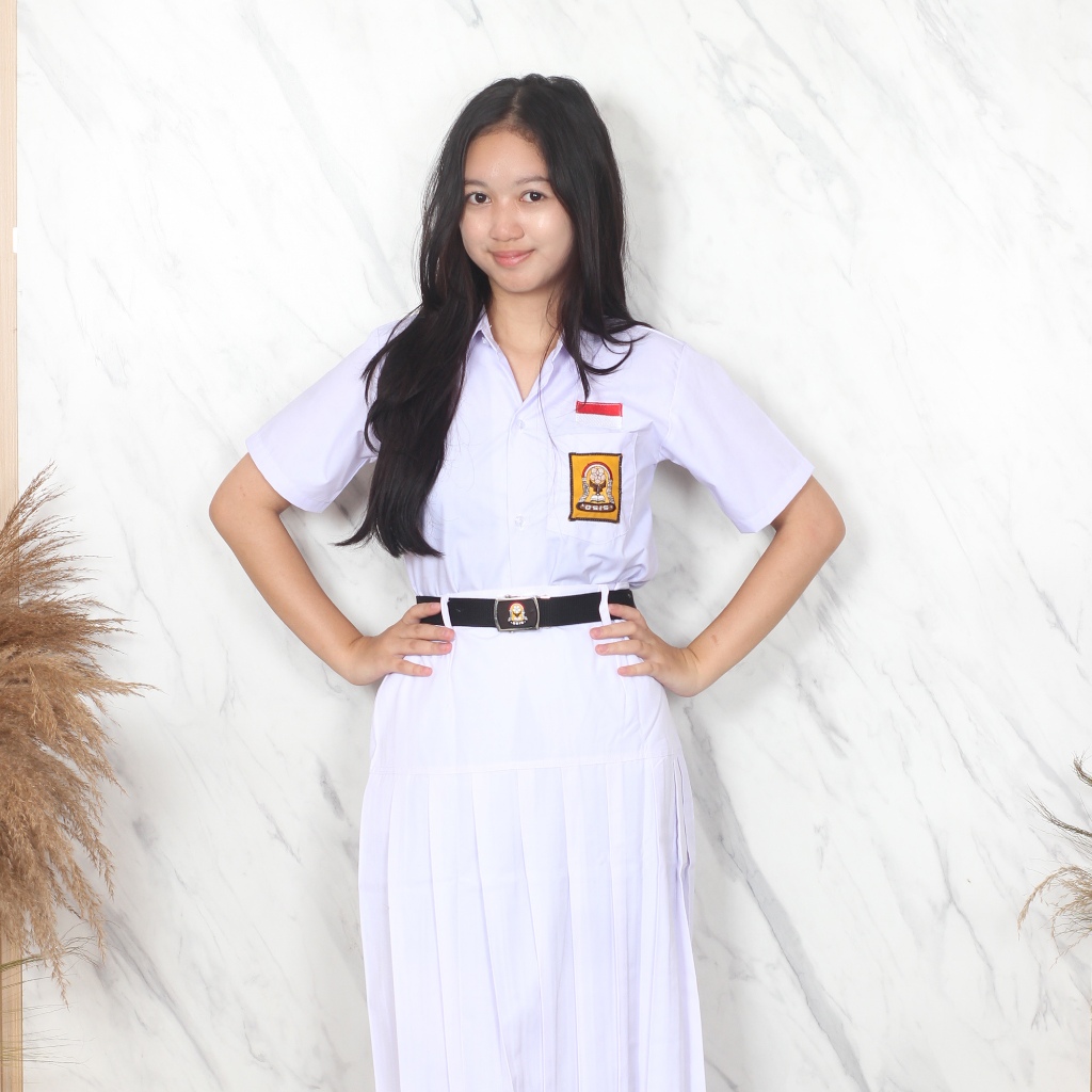 Rok Sekolah Smp Sma Putih Panjang Rempel Lipit Bawah Pinggang Pinggul Baping