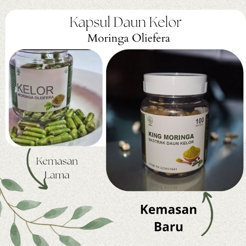 [Whispers] Moringa Leaf Capsules Contents 100 Capsules Moringa Oleifera