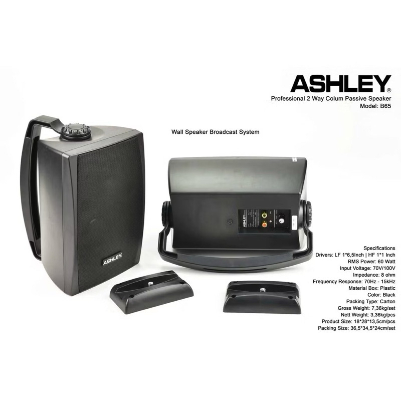 Speaker Pasif Ashley B65 6,5 inch wall speaker monitor