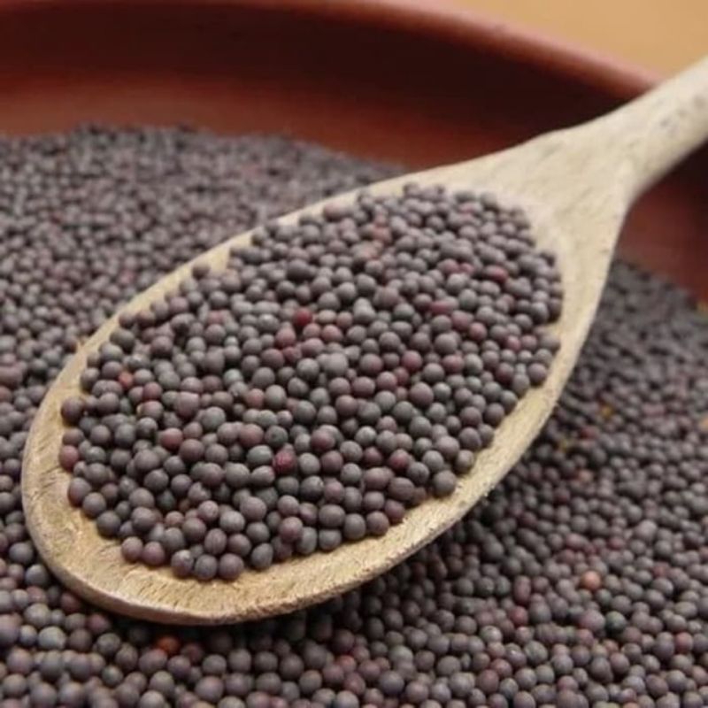 BIJI SAWI PAKAN BURUNG BIJI SAWI PAKAN BURUNG KENARI LOVEBIRD PERKUTUT