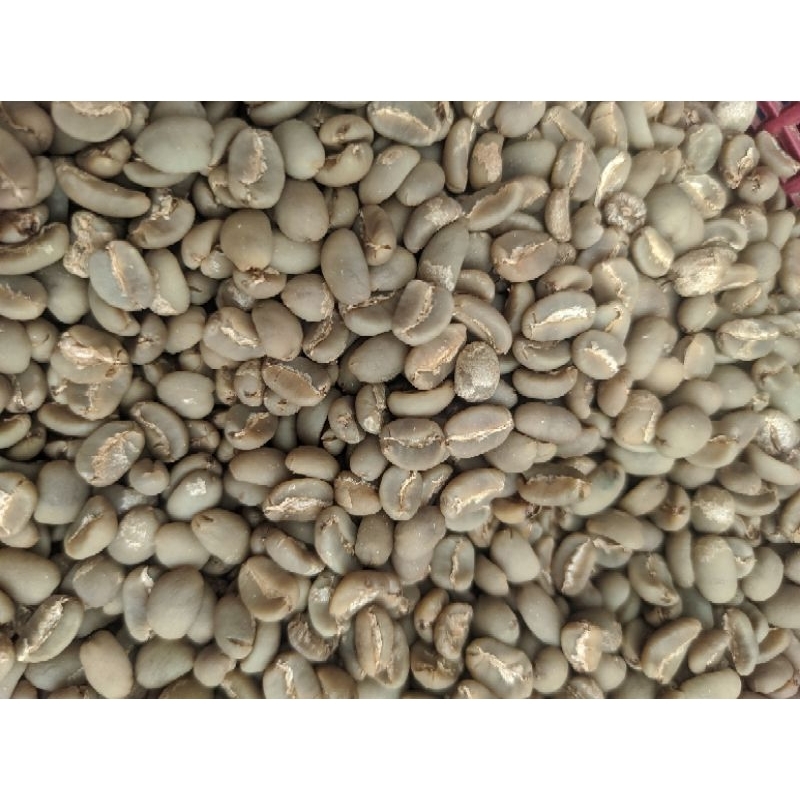 

biji kopi