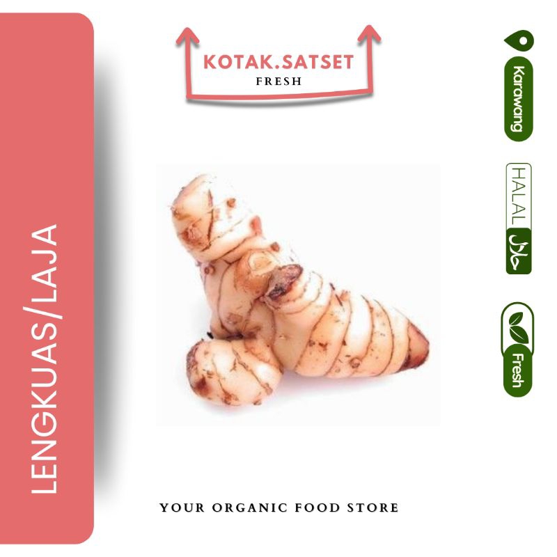 

laja Kotak.Saket Fresh Lengkuas/Laja bumbu karawang