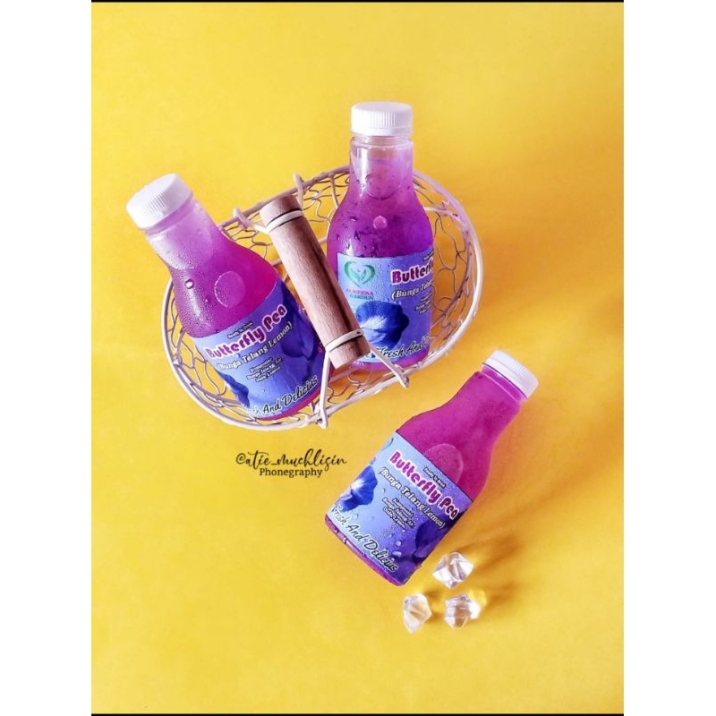 

Butterfly Pea Citrus (Bunga Telang Lemon)