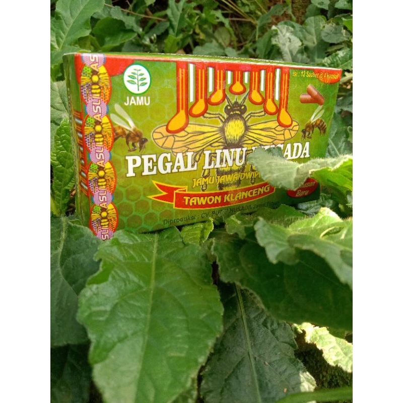 Pegal Linu Husada Tawon Klanceng Original Isi 48 Kapsul