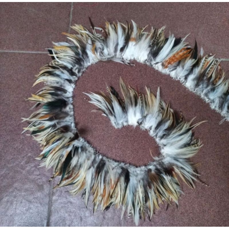 Bulu Ayam Kampung Lurik Putih 1 Meter Lebih Panjang Kuat