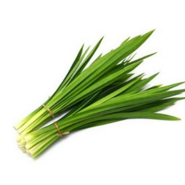 

Daun Pandan Rempah Segar, 50 Gr