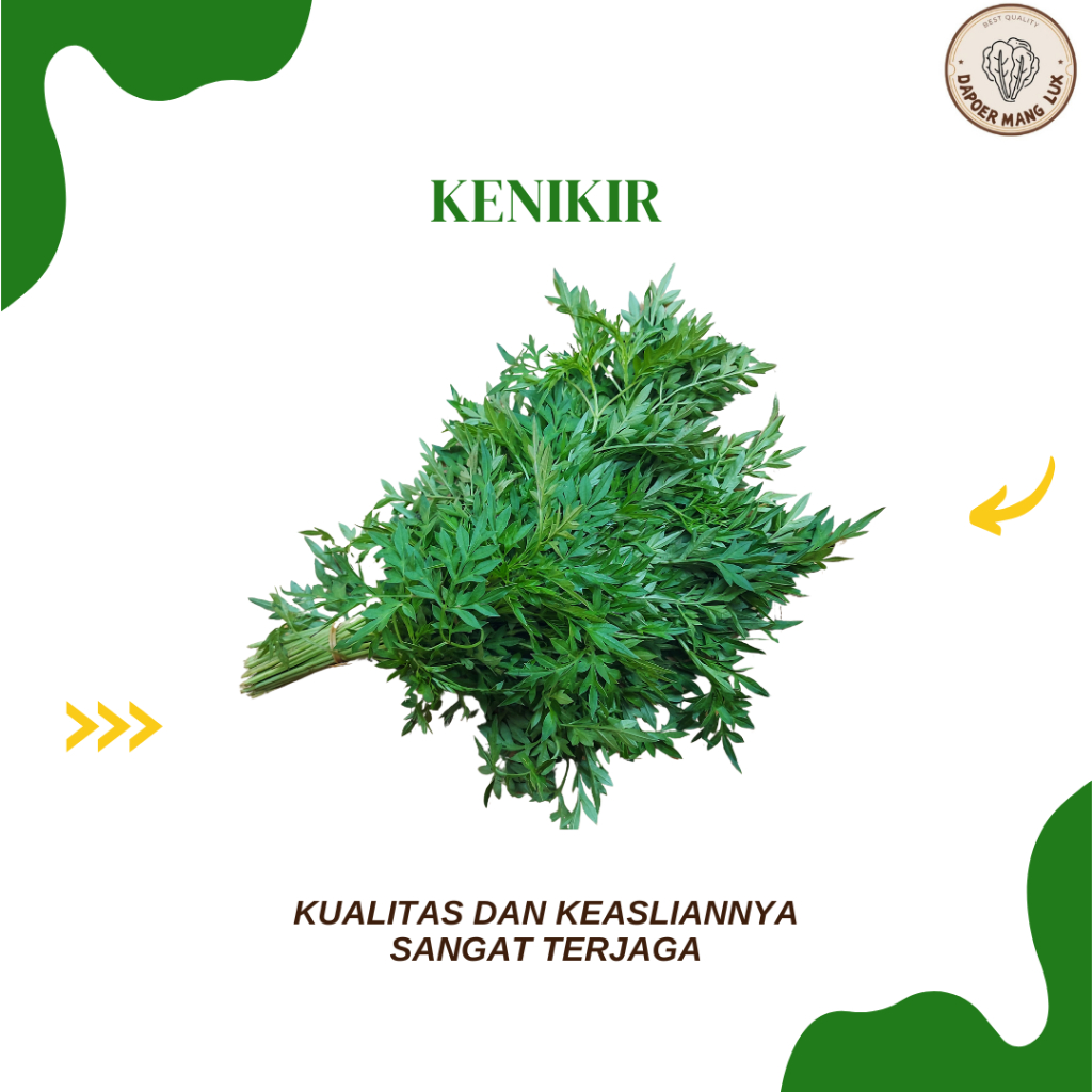 

EKSTRAK DAUN KENIKIR BEST SELLER