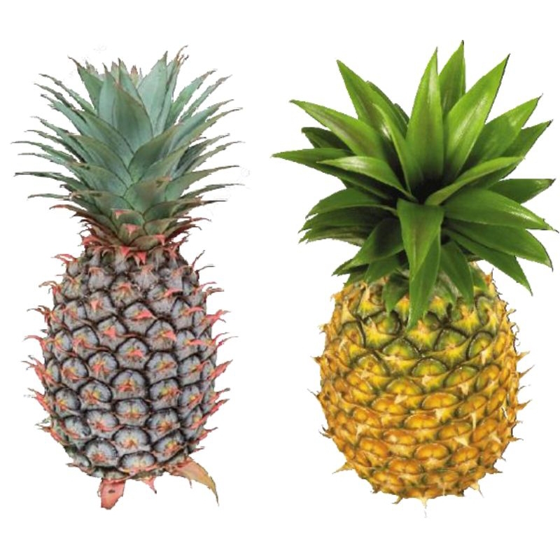 

nanas muda/nanas madu/pres alami dari pohon