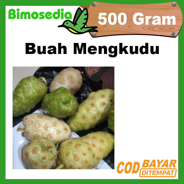 

Buah Mengkudu 500 GRAM fresh tanpa pestisida BUAH MENGKUDU/PACE,HERBALALAMI,HIPERTENSI DIABETES