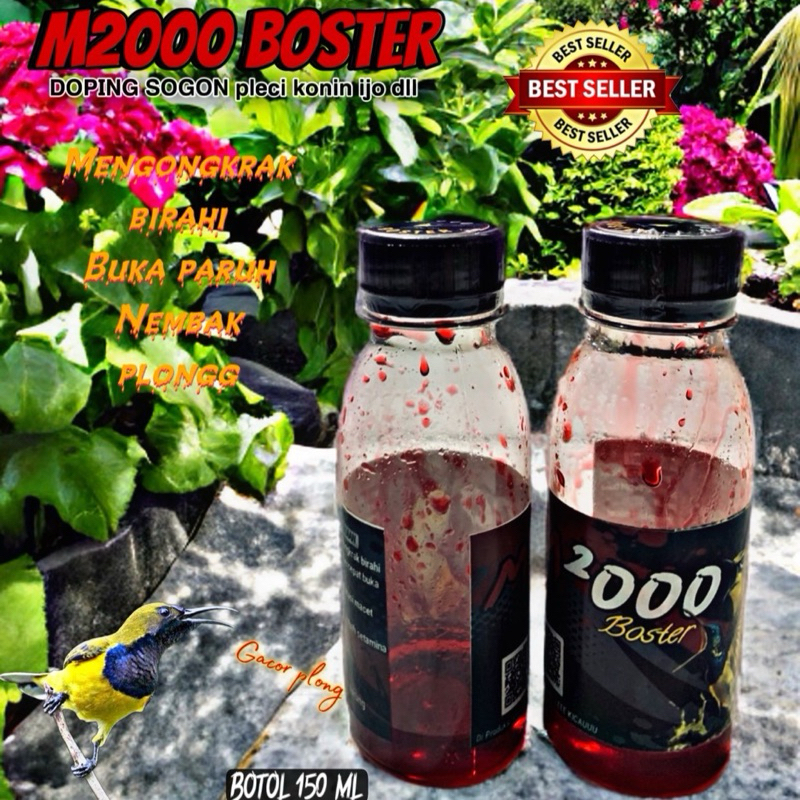 Nextar M2000 Boster penggacor burung sogon