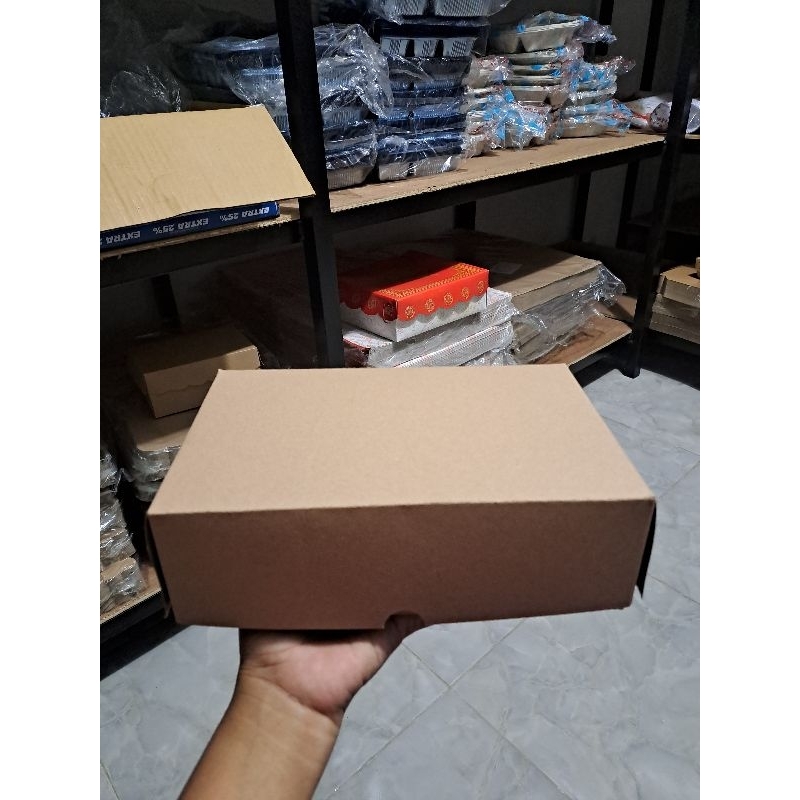 KARDUS Kraft coklat /kotak nasi atau jajan NX 310