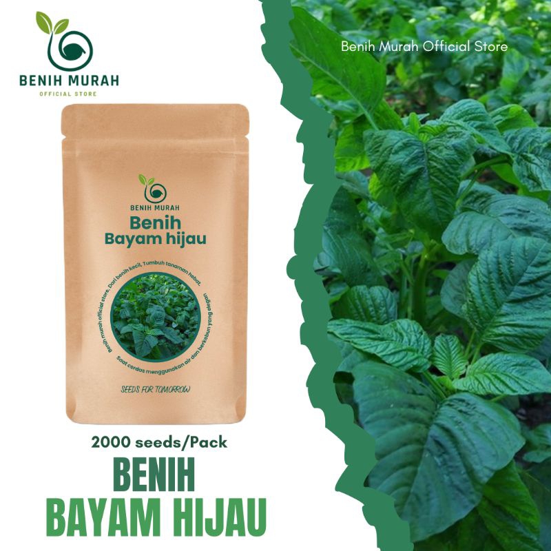 

Benih Bayam Hijau Bibit Bayam Benih Sayuran Hijau