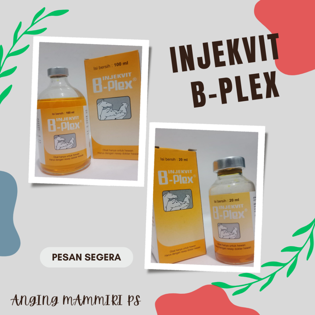 INJEKVIT B-PLEX - 20 ML @ 12 PCS (OBAT untuk Kekurangan vitamin B kompleks pada hewan)