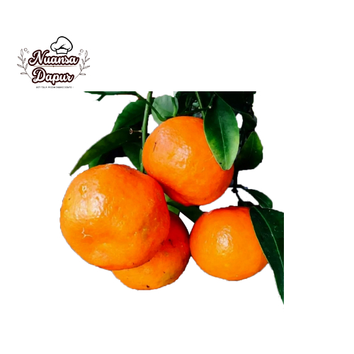 

Buah Jeruk Santang 500 gram