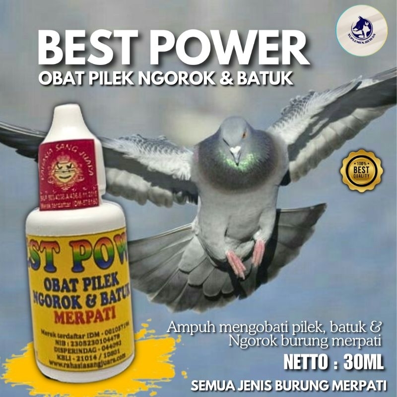 BEST POWER Obat Pilek Ngorok Dan Batuk Burung Merpati 30ml