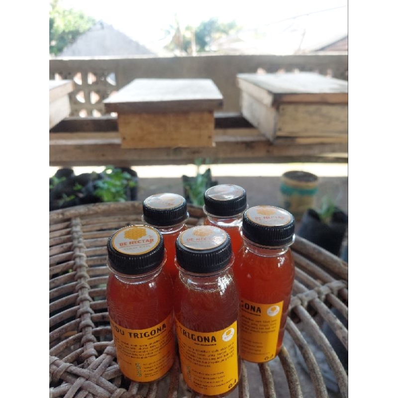 

Madu Trigona /Klanceng