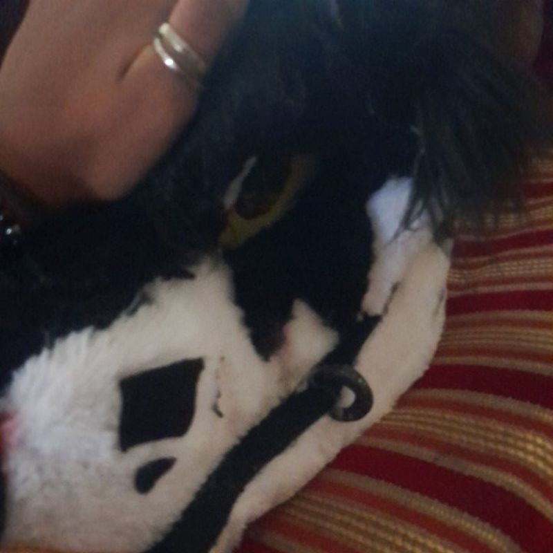 fursuit head lq-mq