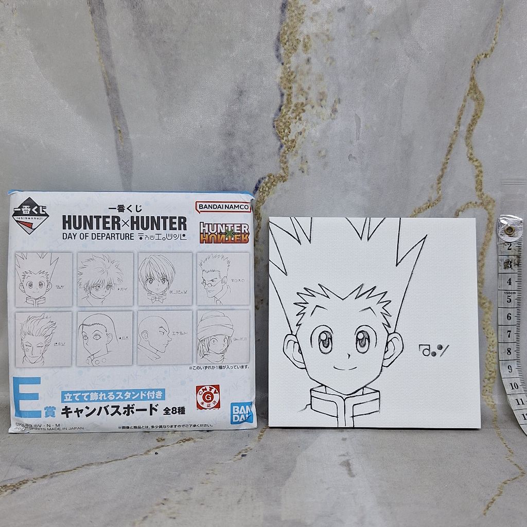 Hunter X Hunter Gon Freecss Shikishi Canvas Board Ichiban Kuji E Prize Day Of Departure 11 cm