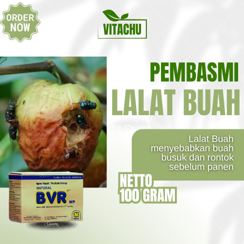 Pembasmi Lalat Buah Racun Lalat Paling Ampuh Obat Pengusir Lalat Insektisida Pestisida Lalat Buah