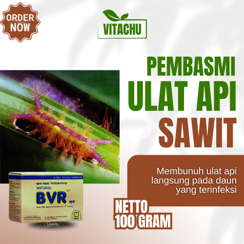 Pestisida Obat Hama Tanaman Sawit Pembasmi Hama Sawit Insektisida Ulat Api pada Sawit Paling Ampuh