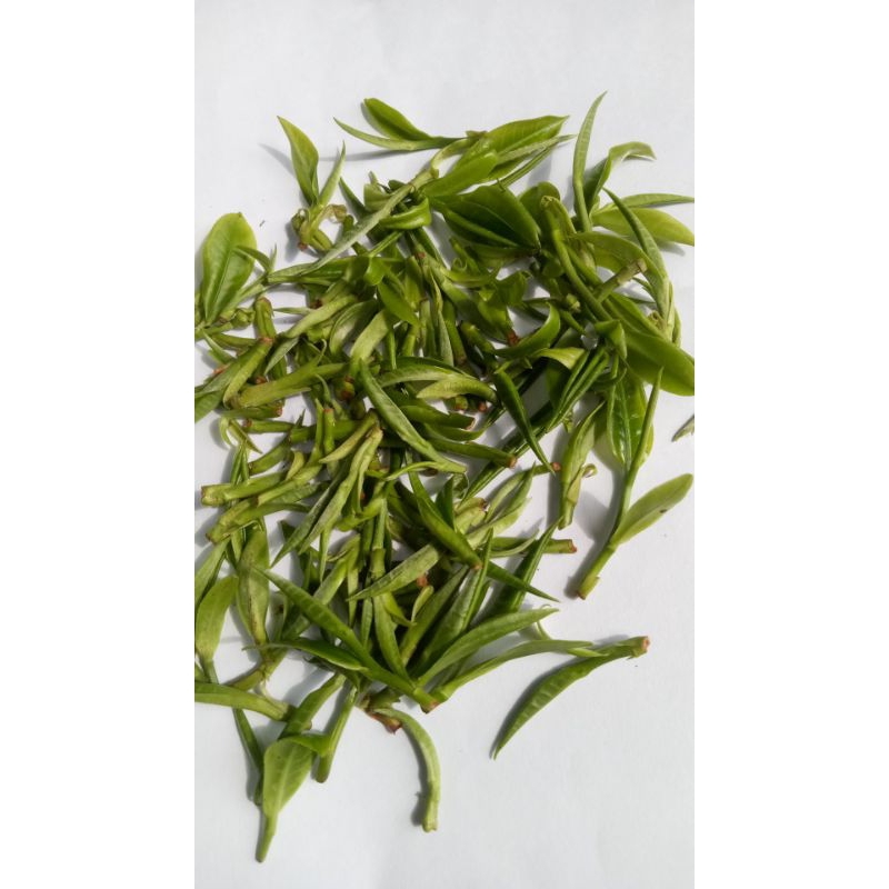 

Daun Teh Segar Kuncup 30g