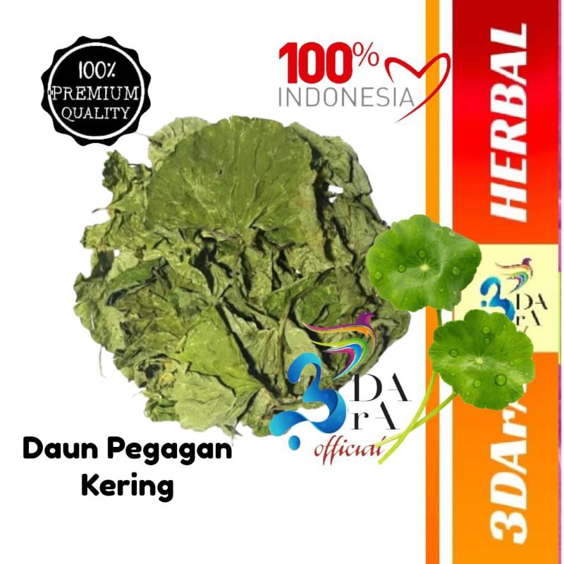 

Daun Pegagan Kering - Antanan - Kaki Kuda Premium