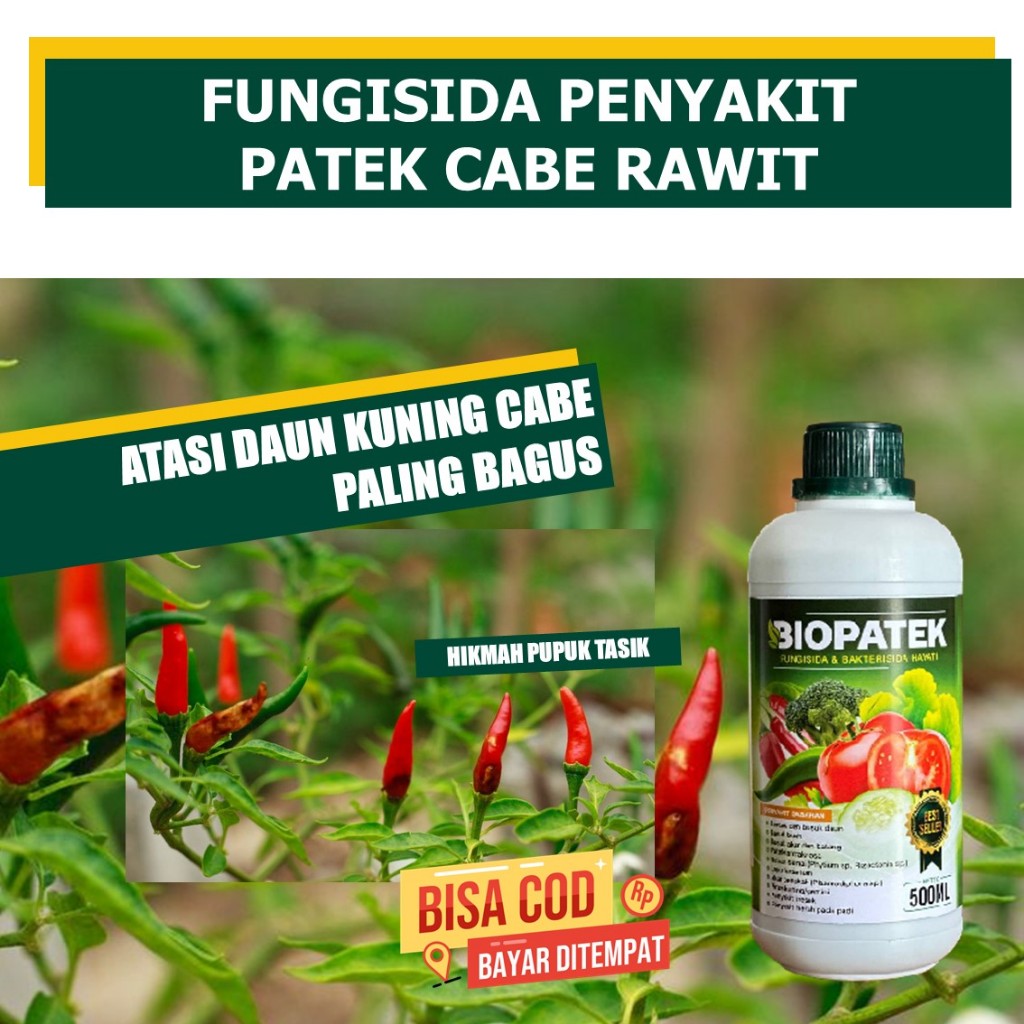 PROMO 500ML BIOPATEK OBAT BERCAK/PATEK DAUN DAN BUSUK BUAH, BUSUK AKAR DAN BATANG, PATEK/ANTRAKNOSA,