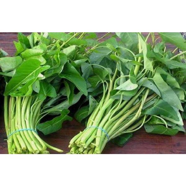 

KANGKUNG akar FRESH 250gr Kirim INSTAN