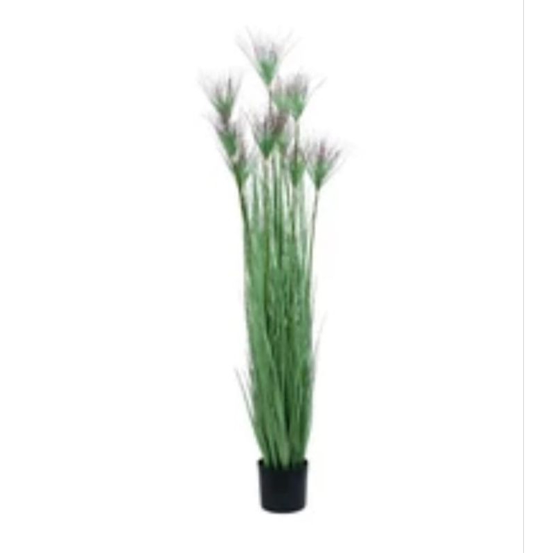 INFORMA TANAMAN ARTIFICIAL// TANAMAN ARTIFICIAL