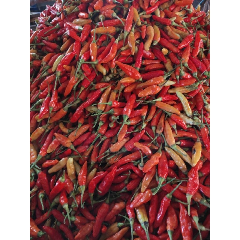 

CABE RAWIT MERAH ORY 500 GRAM