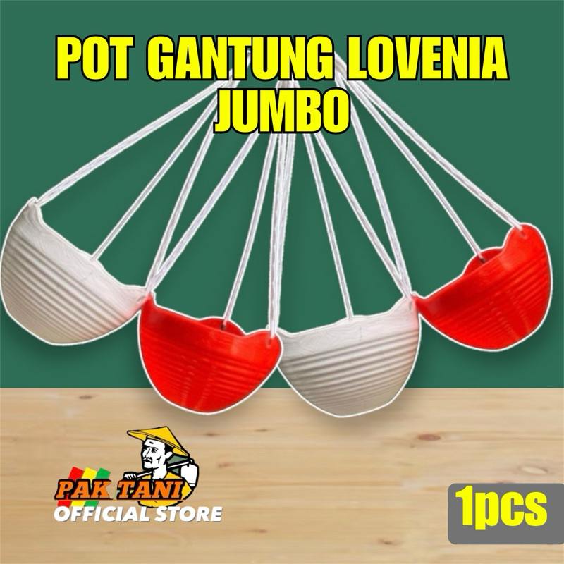 Pot Bunga Gantung Gentong Lovenia Ggs 8857 Size L Putih - Pot Gantung Tinggi Murah Grosir