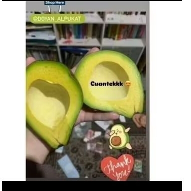 

Alpukat Mentega 900 gram isi 3