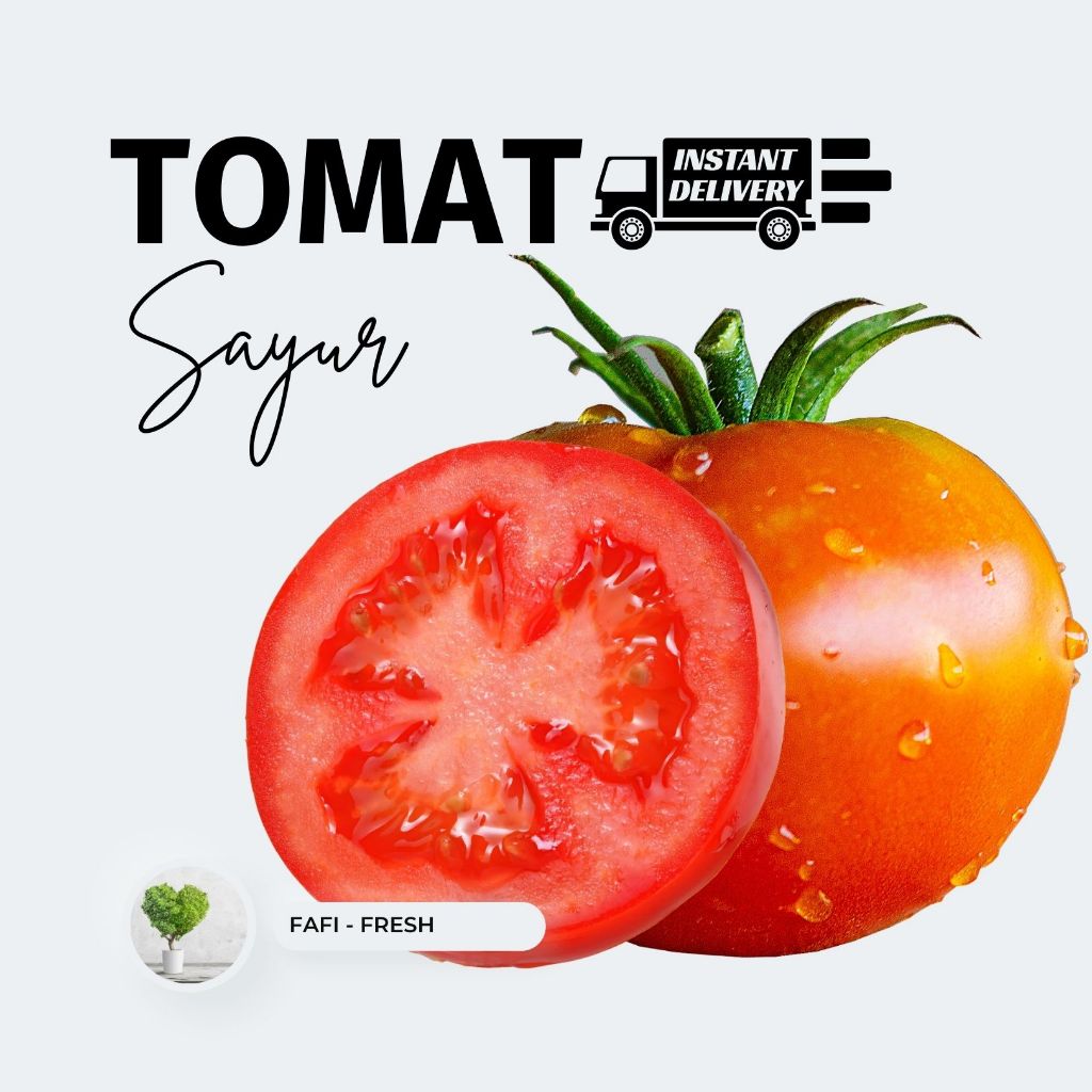 

TOMAT SEGAR - FRESH DARI KEBUN FAFI FRESH.
