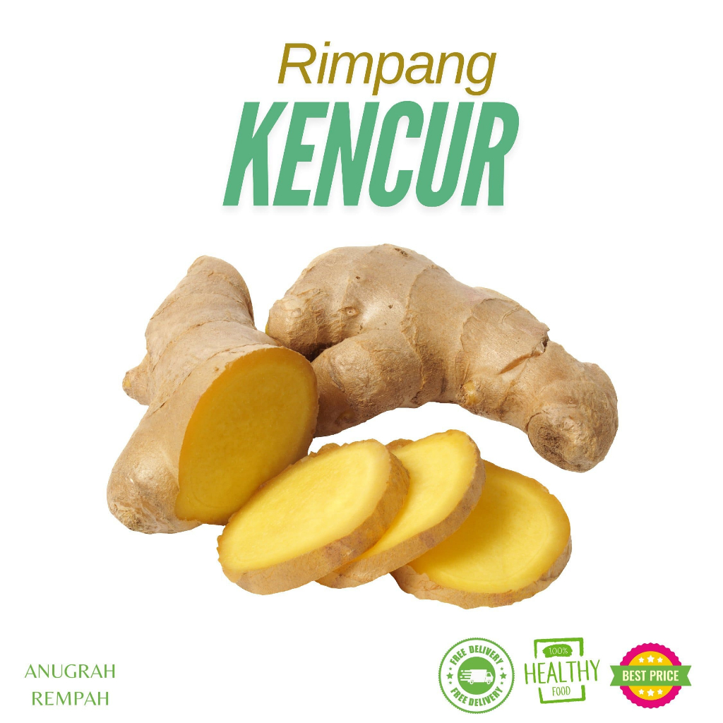 

Kencur 250-500-1000 gram Anugrah Rempah