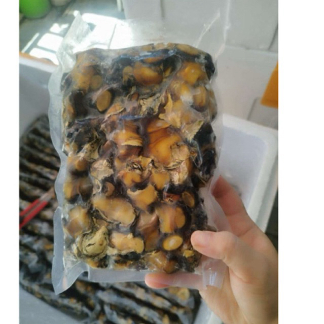 

KEONG SAWAH 500gr fresh beku