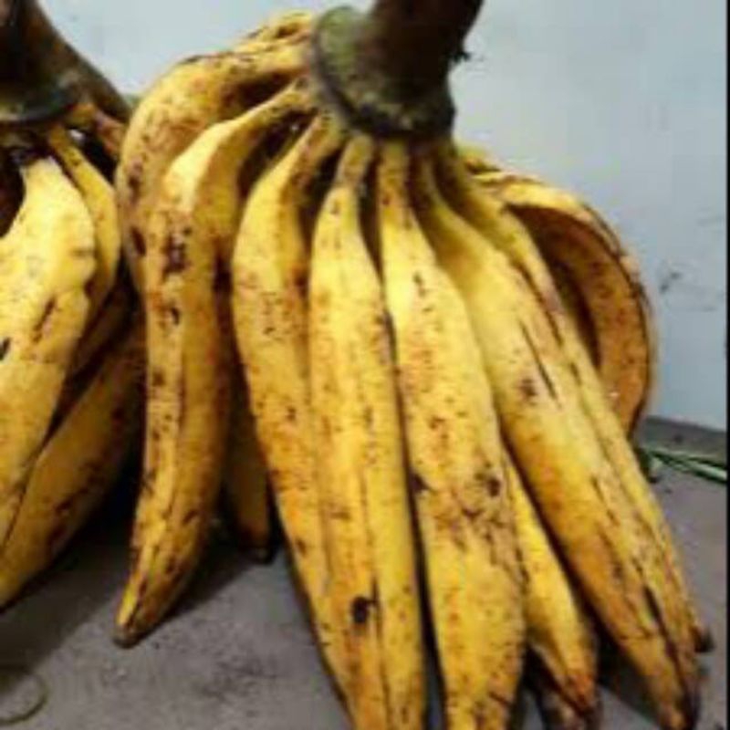 

Pisang Tanduk Sukabumi 3pcs/kilo