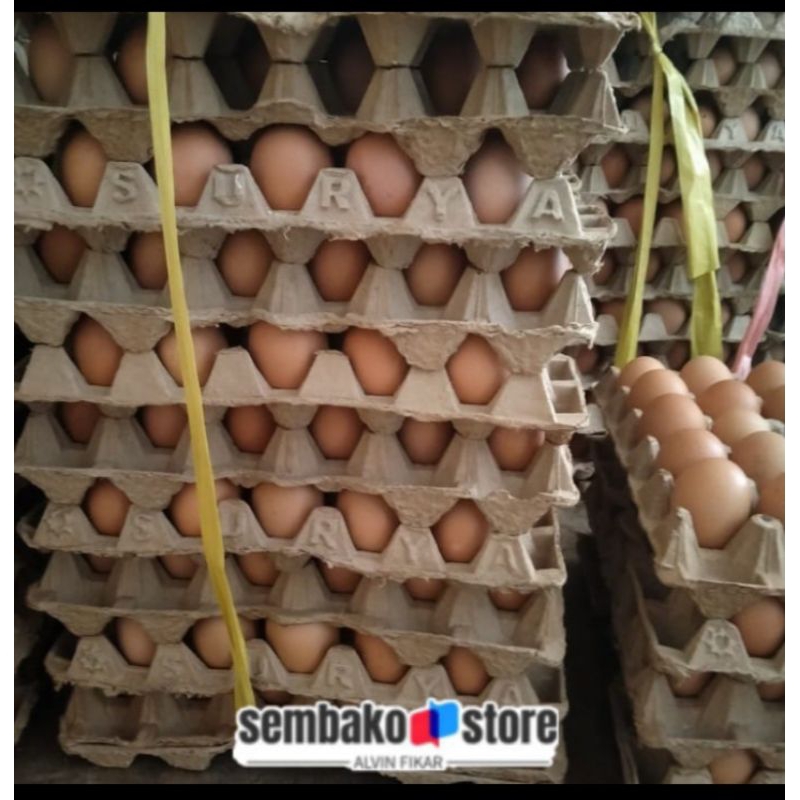 

TELUR AYAM per iket 15 kg TELUR FRES BARANG TURUN BARU SETIAP HARI