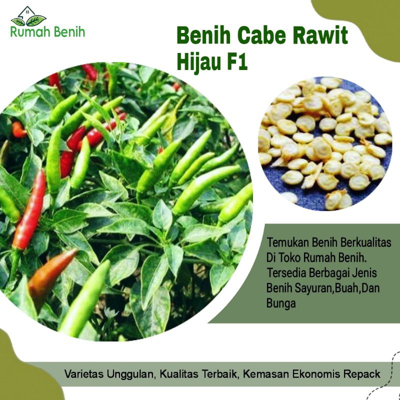 Benih Cabe Rawit Hijau Hibrida F1 / Bibit Benih Cabe Rawit Annum / Biji Benih Cabe Rawit Hiter / Ben