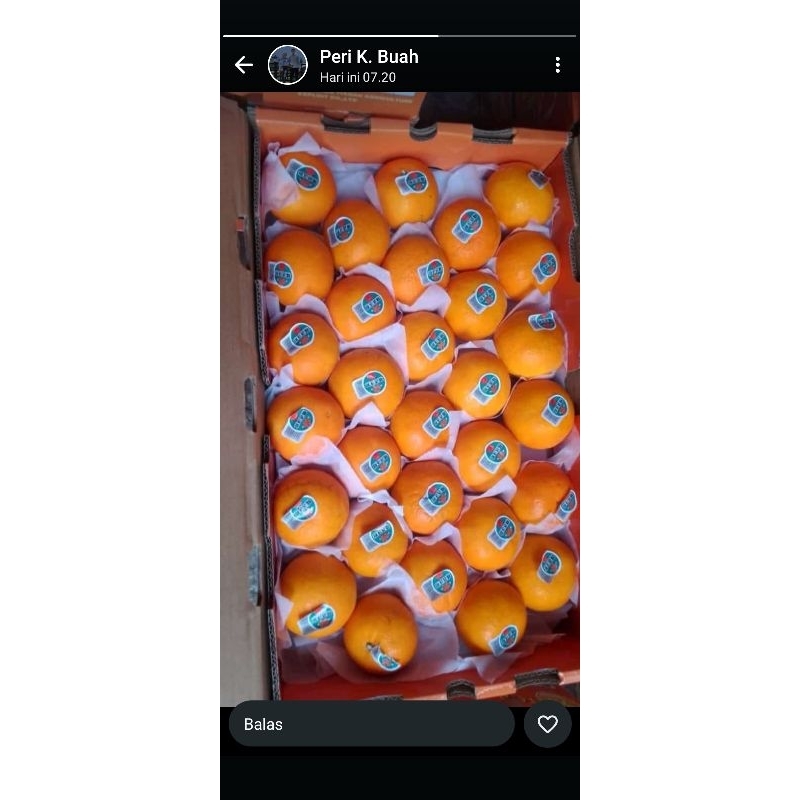 

Jeruk Mandarin ausi500g